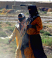 Two Women Walking On The Road In Iraq